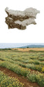 THE BALKANS