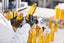 Traceability in the essential oil supply chain