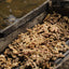 Fresh Ginger, Organic