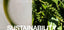 sustainable